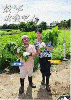 出发吧露营团 综艺海报