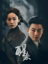 雾港迷踪电视剧高清封面-菠萝TV热播剧集