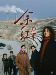 西瓜视频年代家庭剧盐城旧事海报